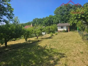 Prodej zahrady, Údlice, 390 m2