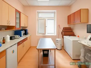 Pronájem obchodního prostoru, Praha - Libeň, náměstí Dr. Václava Holého, 300 m2