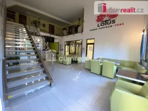 Pronájem komerční nemovitosti, Břeclav, Na Hrůdách, 70 m2