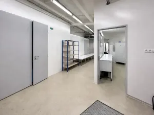 Pronájem výrobních prostor, Praha - Nusle, Mojmírova, 165 m2