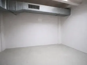 Pronájem výrobních prostor, Praha - Nusle, Mojmírova, 165 m2