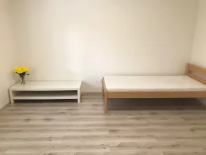 Pronájem bytu 1+1, Frýdek-Místek, Lískovecká, 29 m2