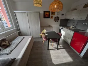 Prodej bytu 1+kk, Chomutov, Kostnická, 20 m2