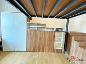 Pronájem bytu 2+kk, Ostrava - Moravská Ostrava, Křižíkova, 44 m2