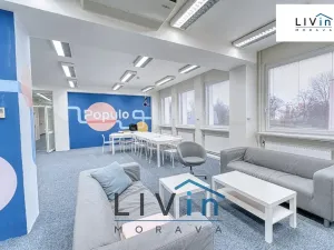 Pronájem obchodního prostoru, Olomouc, Karolíny Světlé, 128 m2