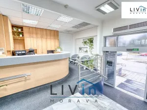 Pronájem obchodního prostoru, Olomouc, Karolíny Světlé, 128 m2