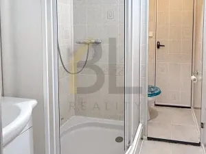 Pronájem bytu 2+1, Hodonín, Lesní, 56 m2