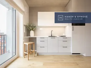 Pronájem bytu 1+kk, Brno, Koliště, 22 m2