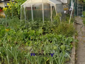 Prodej zahrady, Podbořany, Sídliště Míru, 200 m2