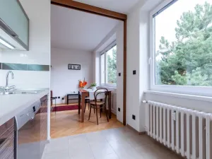 Pronájem bytu 1+1, Praha - Smíchov, K vodojemu, 33 m2