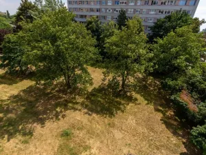 Pronájem bytu 3+1, Praha, Horáčkova, 70 m2