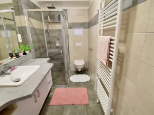 Pronájem bytu 2+kk, Brno - Dolní Heršpice, Vomáčkova, 44 m2