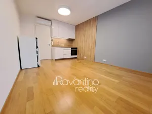 Pronájem bytu 1+kk, Brno, Studentská, 25 m2