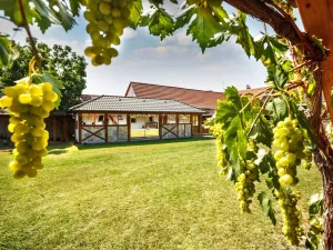 Prodej rodinného domu, Žabovřesky, 950 m2