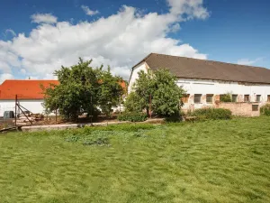 Prodej rodinného domu, Žabovřesky, 950 m2