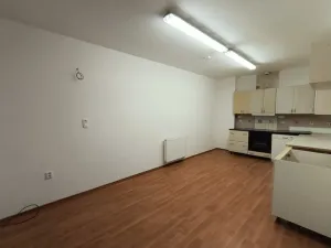 Pronájem bytu 3+1, Hanušovice, Hynčická, 108 m2