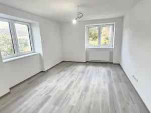 Prodej rodinného domu, Ústí nad Labem, Ve Stráni, 272 m2