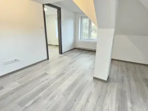 Prodej rodinného domu, Ústí nad Labem, Ve Stráni, 272 m2