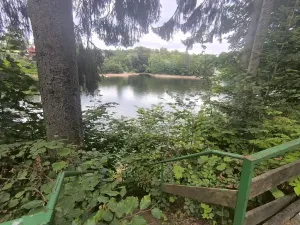 Prodej rodinného domu, Pastviny, 145 m2