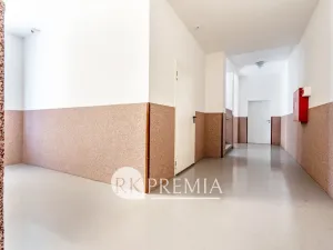 Pronájem bytu 3+1, Teplice, U Hadích lázní, 115 m2