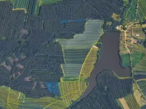 Prodej podílu lesa, Olešnice, 303 m2