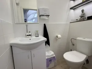 Pronájem komerční nemovitosti, Třebíč, Hasskova, 13 m2