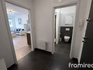 Pronájem bytu 2+kk, Brno, Křídlovická, 57 m2