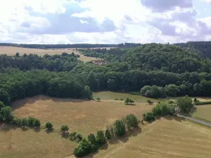 Prodej pole, Nečtiny, 17446 m2