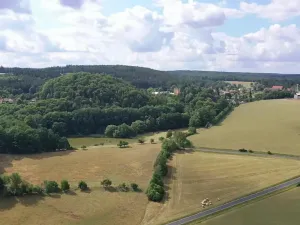 Prodej pole, Nečtiny, 17446 m2