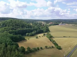 Prodej pole, Nečtiny, 17446 m2