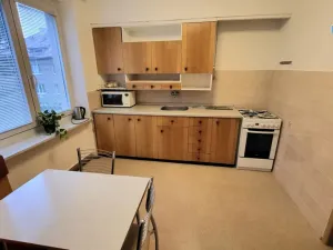 Pronájem bytu 3+1, Vyškov - Vyškov-Předměstí, Smetanovo nábřeží, 84 m2