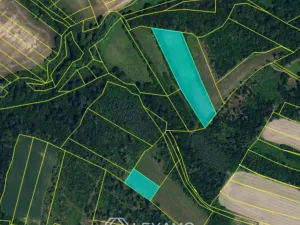 Prodej podílu 1/2 pole, Černín, 54498 m2