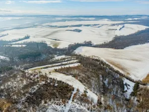 Prodej podílu 1/2 pole, Černín, 54498 m2