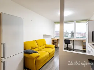 Pronájem bytu 2+kk, Praha - Karlín, Nekvasilova, 40 m2