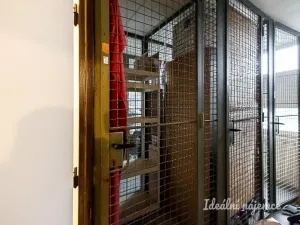 Pronájem bytu 2+kk, Praha - Karlín, Nekvasilova, 40 m2