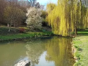 Pronájem bytu 2+kk, Kladno - Kročehlavy, náměstí Sítná, 30 m2