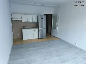 Pronájem bytu 1+kk, Děčín, Želenická, 25 m2