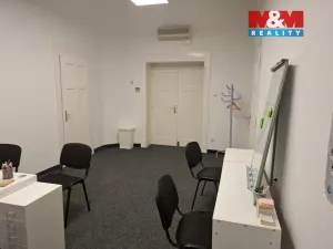 Pronájem kanceláře, Praha, Opletalova, 131 m2