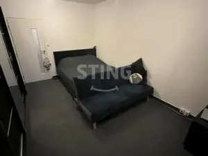 Pronájem bytu 1+1, Brno, Palackého třída, 40 m2