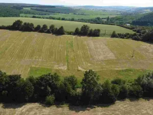 Prodej pozemku, Dobrkovice, 30313 m2