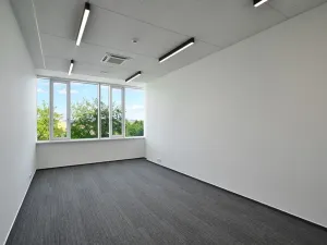 Pronájem kanceláře, Brno, Jana Babáka, 546 m2