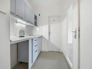 Prodej obchodního prostoru, Kravaře, Hlučínská, 205 m2