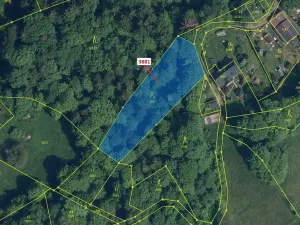 Dražba lesa, Semily, 1939 m2