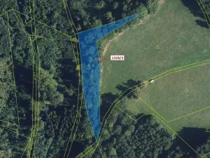 Dražba lesa, Kladky, 3057 m2