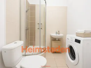 Pronájem bytu 1+kk, Horní Suchá, Dr. Glazera, 25 m2