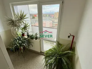 Prodej bytu 3+1, Žatec, Lípová, 76 m2