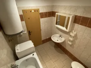 Pronájem bytu 1+1, Teplice - Nová Ves, Březová, 27 m2