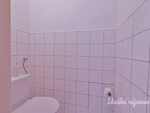 Pronájem bytu 3+kk, Brno, Úvoz, 84 m2