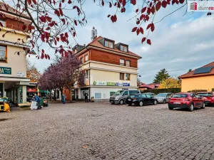 Pronájem bytu 1+kk, Dobřichovice, Palackého, 20 m2