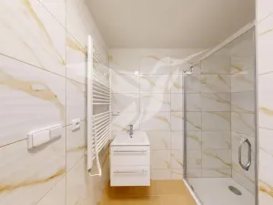 Pronájem bytu 1+kk, Plzeň, Nerudova, 35 m2